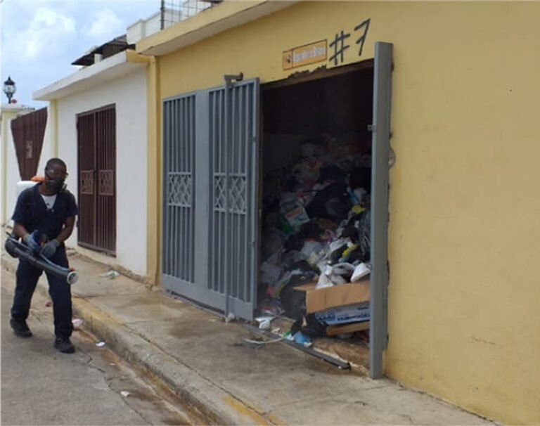 Control de plagas (Fumigación)