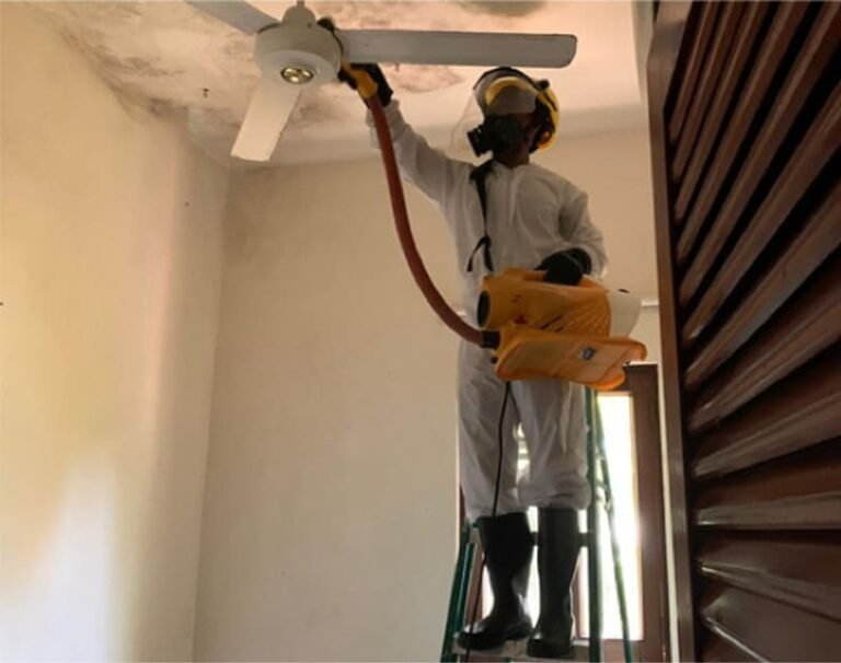 Control de plagas (Fumigación)