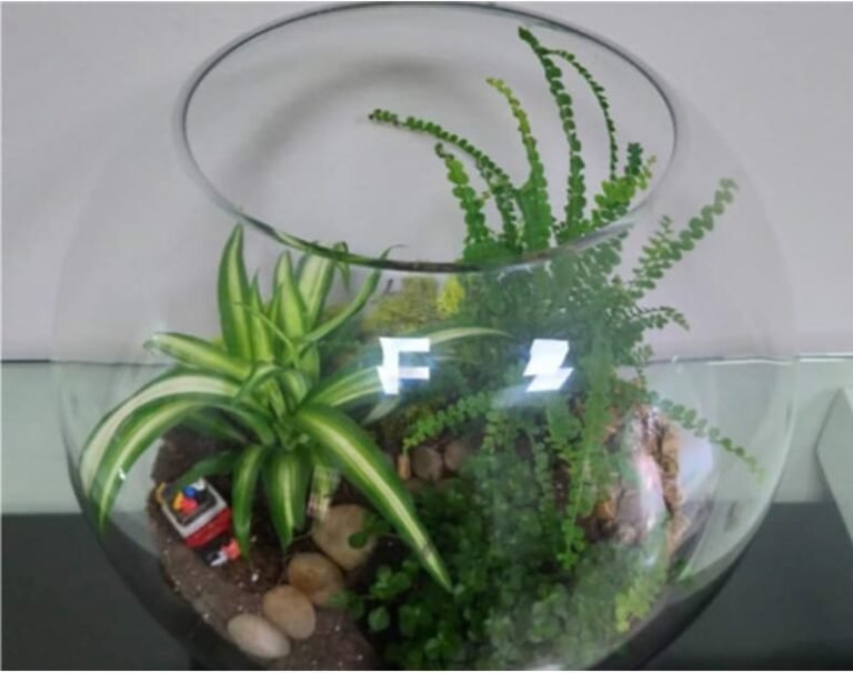 Control de plagas (Plantas)