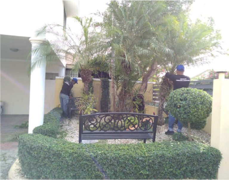 Control de plagas (Fumigación)