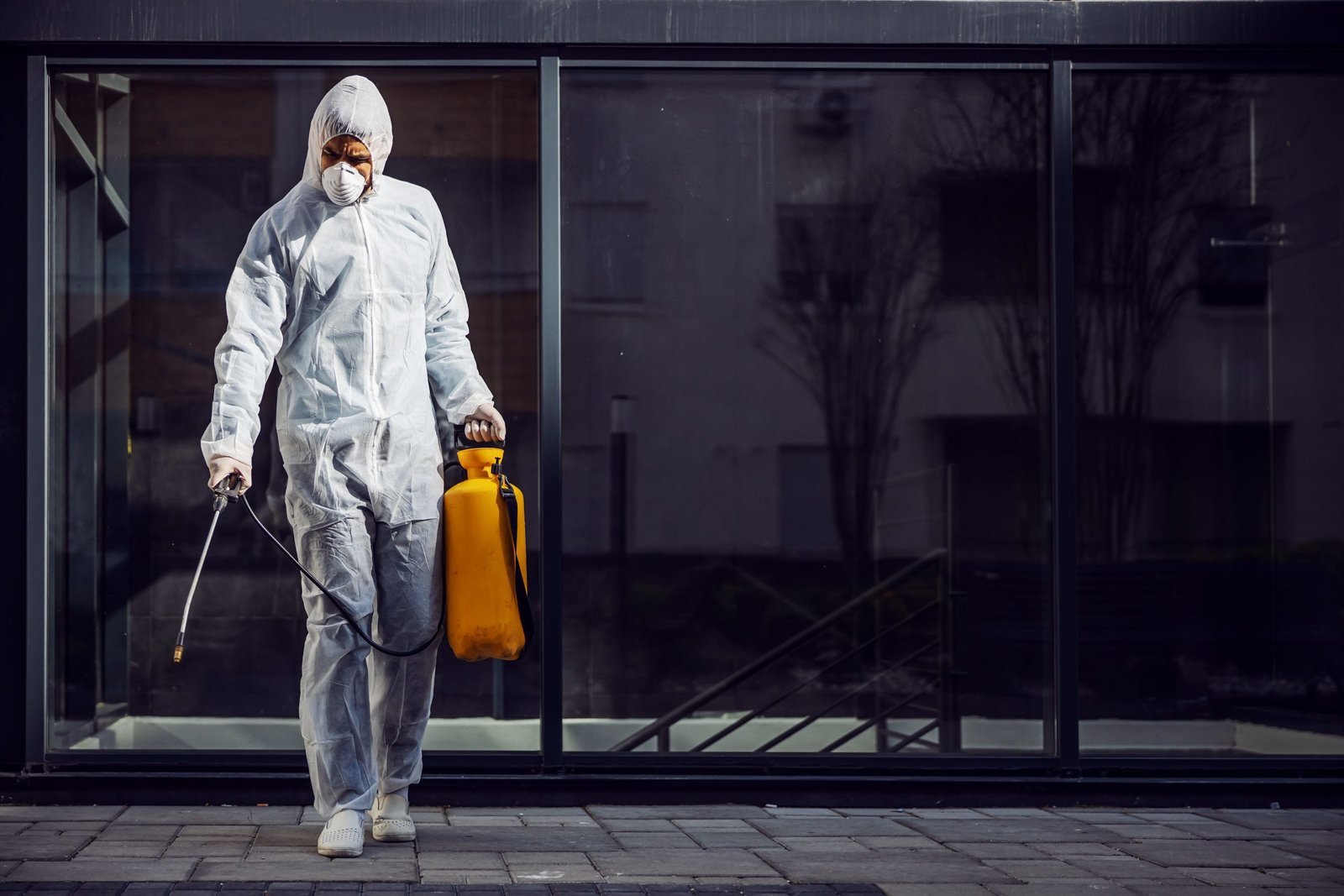 G & F MULTISERVICES SRL